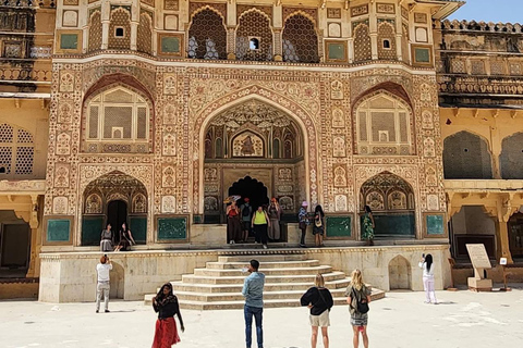 8-Day Golden Triangle Tour With Ranthambore & Jhalana Safari Tour With 3-Star Hotel Recommendation