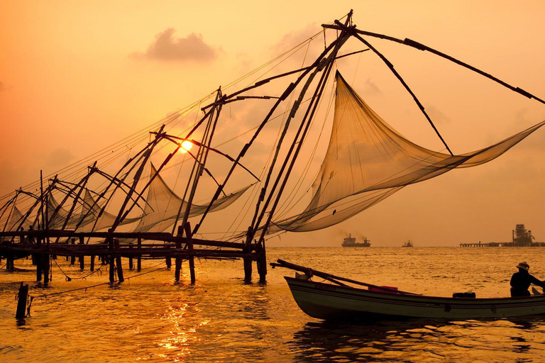 Kochi: 7-Day Kerala Private Tour with Houseboat Stay