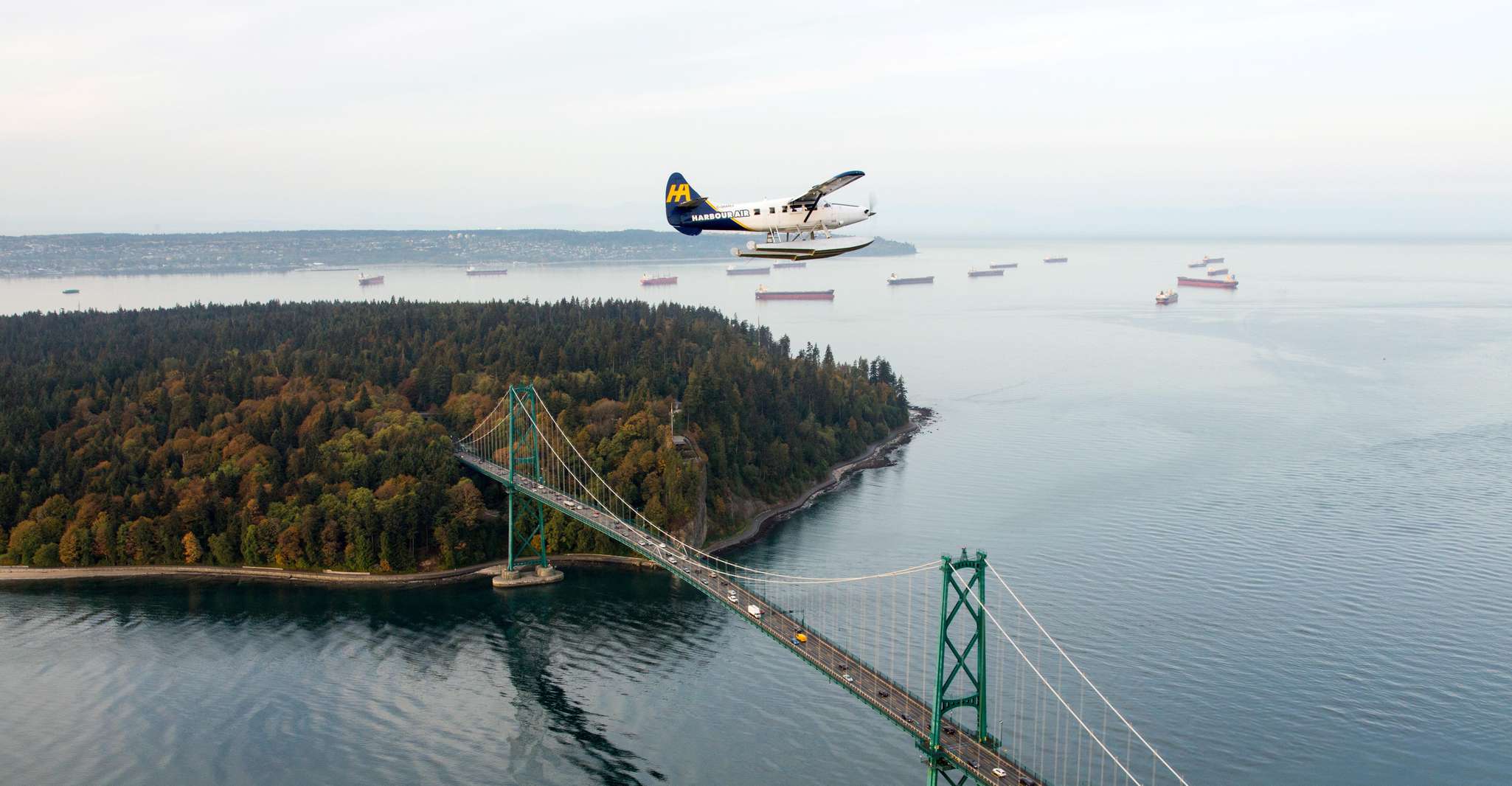 Vancouver: Scenic Panorama Seaplane Tour & Suspension Bridge