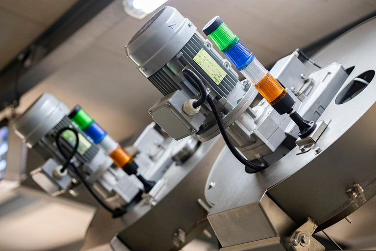 Mallorca Olive grove visit, Oil & Wine Tasting & Light Lunch Español Olive grove visit, olive oil and wine tasting, snack