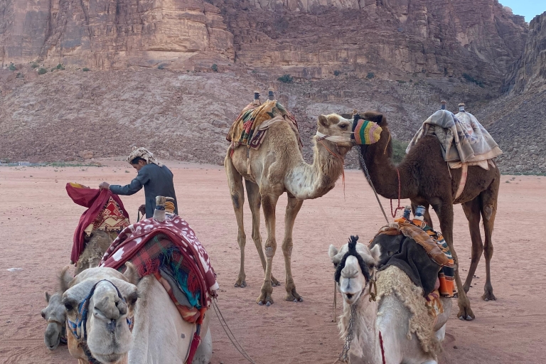 Explore Wadi Rum: Jeep Tour, Bed and Breakfast, and Dinner Explore Wadi Rum: Jeep Tour, Bed and Breakfast, and Dinner