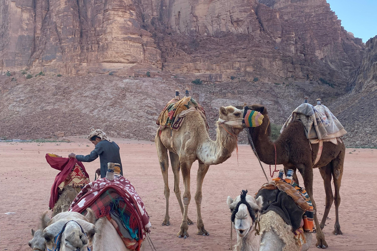 Wadi Rum: jeep tour, bed, breakfast and dinnerWadi Rum: 5hr desert tour, bed, breakfast and dinner