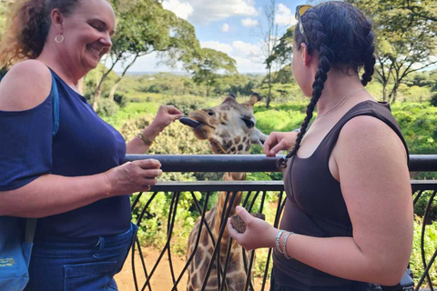 Nairobi National Museum, Snake Park & Giraffe Centre Tour