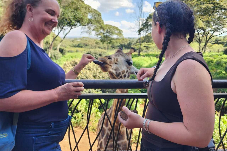 Nairobi National Museum, Snake Park & Giraffe Centre Tour