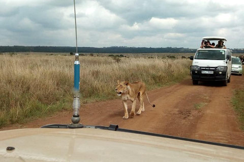 Mombasa/Diani: 3 Days Private Tsavo East & West Safari