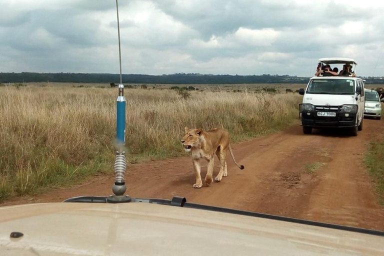 Mombasa/Diani: 3 Days Private Tsavo East & West Safari