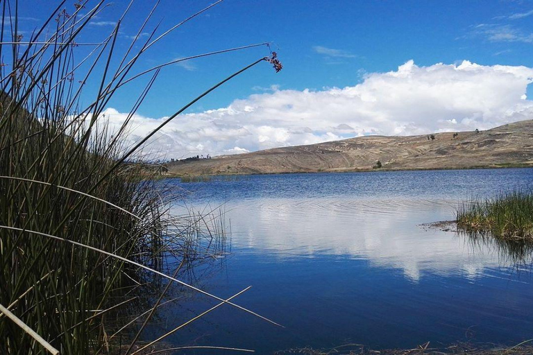 Vallée de Cajamarca : Excursion à la lagune de San Nicolás
