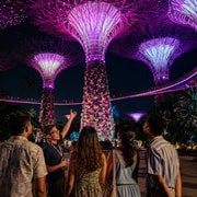 Gardens by the Bay Night Tour with Domes & Garden Rhapsody