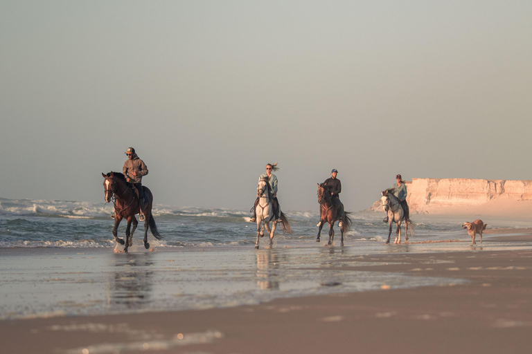 Dakhla Horse Riding Tour in the Desert