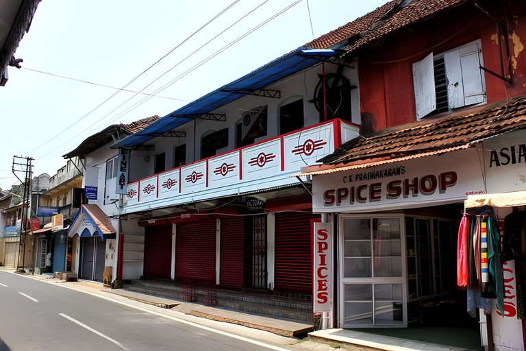 From Cochin Guided Tour of Fort Kochi with Drop at Kumarakom