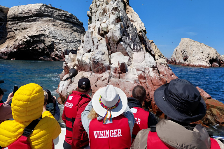 Lima: Viagem de 1 dia a Paracas e ao Oásis de Huacachina com vinho e dunas