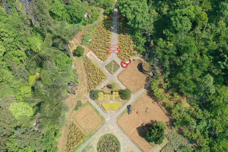 Sapa: "Dragon Jaw Mountain" Panorama Experience