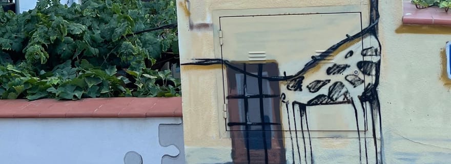 Depuis Nerja/Almunecar : excursion d'une journée à Grenade