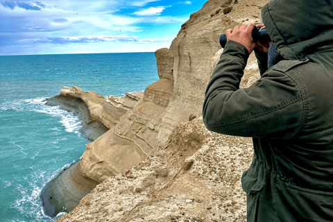 El Calafate: Monte León 4x4 Wolves and Penguins Excursion