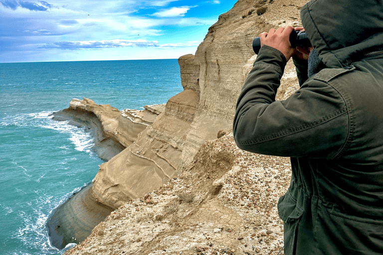 El Calafate: Monte León 4x4 Wolves and Penguins Excursion