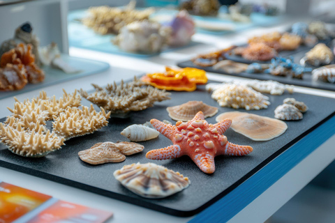 Prywatna wycieczka z przewodnikiem po Muzeum Morza w Punta del Este