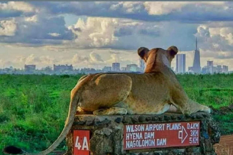 Nairobi Nationalpark, Elefantenbaby & Mittagessen im Carnivore