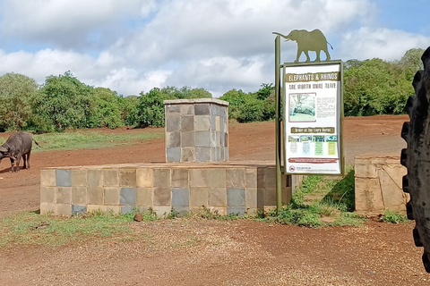 Nairobi National park group joining game drive tour.