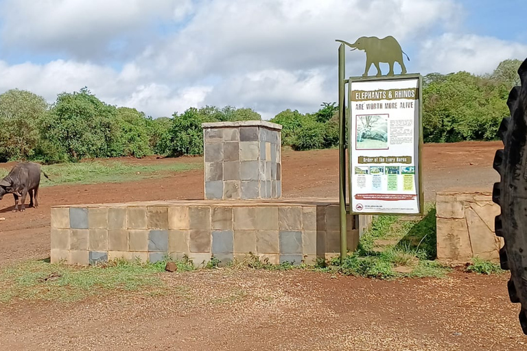 Visite en groupe du parc national de Nairobi avec safari en voiture.