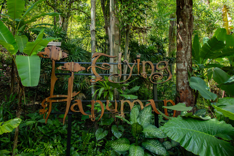 Phuket: Flying Hanuman Zipline Adventure SD4: Epic Adventure with Elephant Jungle