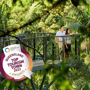 Brisbane: HOHO + Glow Worms & Skywalk Rainforest Walk