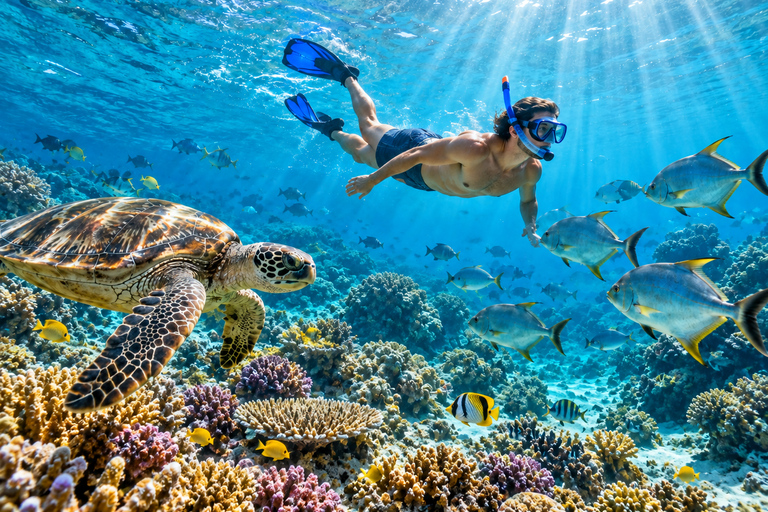 Labuan Bajo: 4-Day Sumbawa Whale Shark & Moyo with Flights Sharing Whale Shark & Moyo Island Private Tour