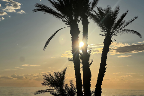 From Djerba/Zarzis: A day-long tour of the island Between Land and Sea: Tour of the Island at Sunset