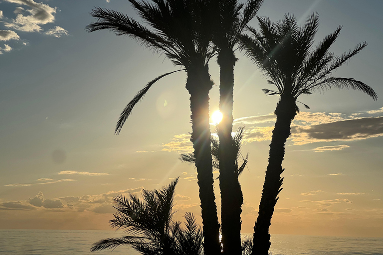 From Djerba/Zarzis: A day-long tour of the island Between Land and Sea: Tour of the Island at Sunset