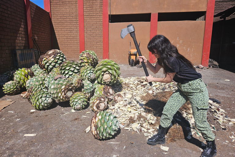Oaxaca: Artisanal Mezcal, Alebrijes, and Zapotec Weaving