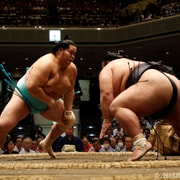 Fukuoka: 2026 Kyushu Grand Sumo Tournament Viewing Tour Fukuoka: 2026 Kyushu Grand Sumo Tournament Viewing Tour