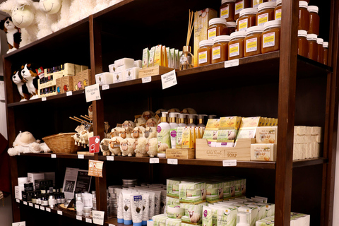 Auckland: Sheepworld, Honey Centre, & Kauri Trail Tour