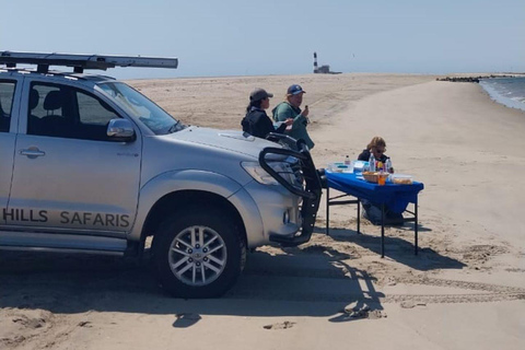 Walvis Bay: Visita de observação de aves e fotografia