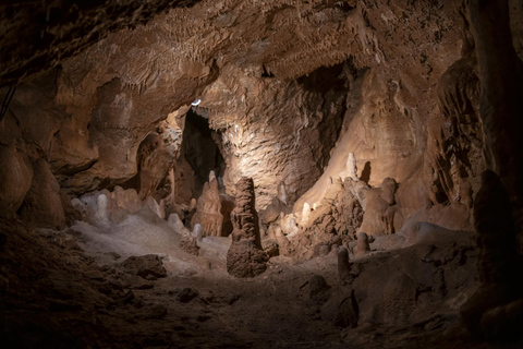 From Vienna: Bratislava & Countryside Guided Half Day Tour Private Tour