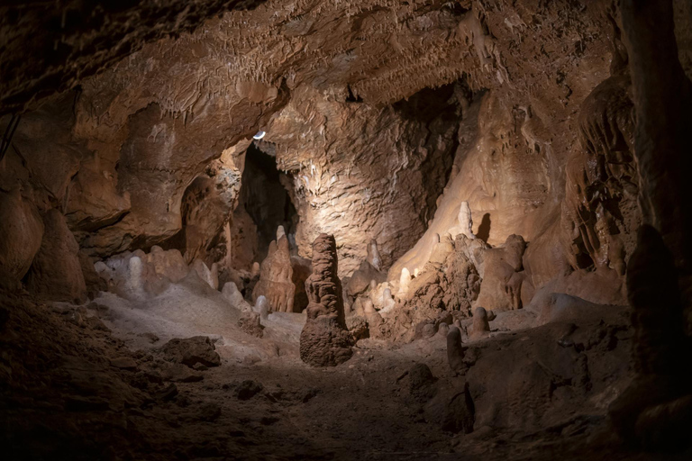 From Vienna: Bratislava & Countryside Guided Half Day Tour Private Tour