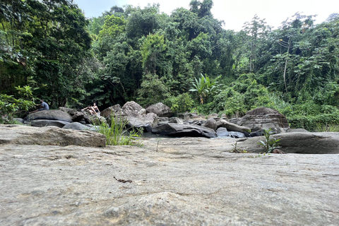 El Yunque Rainforest & Old San Juan Tour