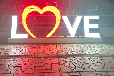 Tokyo: tour notturno privato con passaggio in hotel