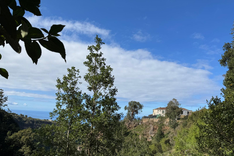 Tenerife: Canary History and Color Potatoes