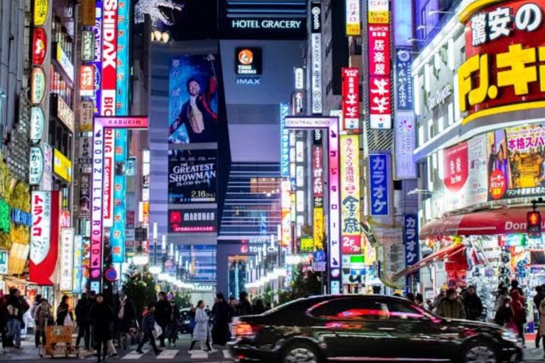 Visita turística privada personalizada de Tokio de un día en coche y furgoneta