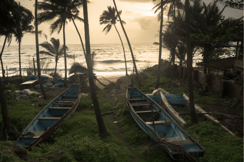 Poranna wycieczka rowerowa po plażach Goa ze śniadaniem