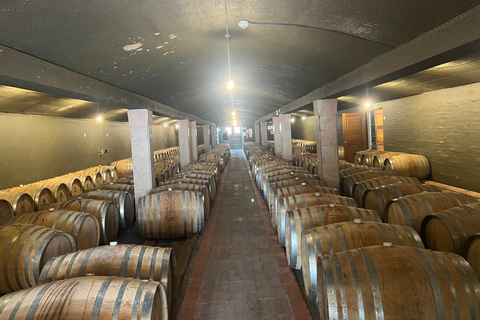 Cidade do Cabo: Elétrico de Franschhoek com prova de vinhos