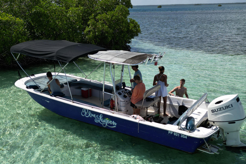 Guadeloupe: Magical half-day boat trip: mangrove, islet, snorkeling. Guadeloupe: Magical 1/2-day boat trip: mangrove, islet, snorkeling.