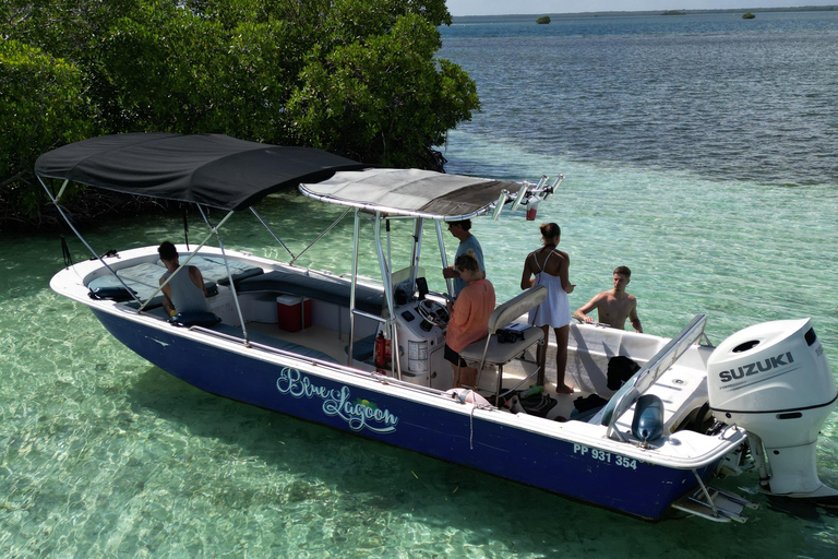 Guadeloupe: Magical half-day boat trip: mangrove, islet, snorkeling. Guadeloupe: Magical 1/2-day boat trip: mangrove, islet, snorkeling.