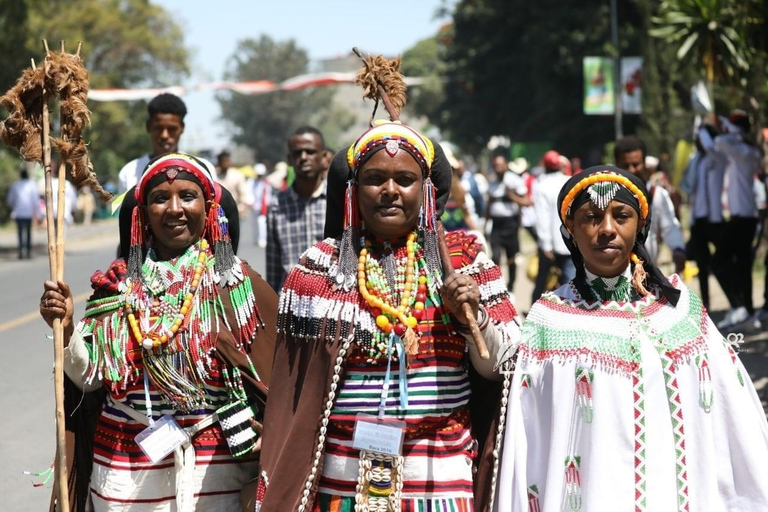 من أديس أبابا: رحلة نهارية من أديس أبابا إلى بحيرة ونشي كريتر مع وجبة غداء