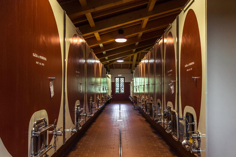 Abbey Tour, Wine Tasting and Light Lunch near Pisa English