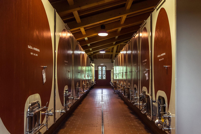 Abbey Tour, Wine Tasting and Light Lunch near Pisa English