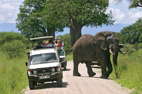 2-Day Tarangire & Ngorongoro Safari from Zanzibar