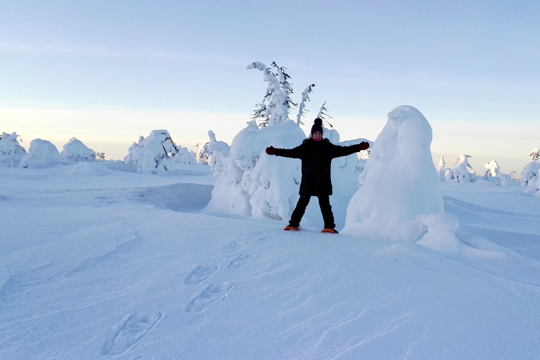 Rovaniemi: sneeuwschoenwandelen dagtrip met lunch - Pyhä-LuostoRovaniemi: Sneeuwschoenwandeling dagtrip met lunch - Pyhä-Luosto