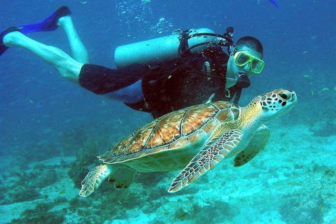 Visita às ilhas Cham e mergulho com snorkel e autônomoExcursão em grupo