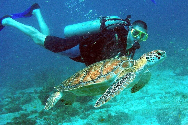 Från Da Nang/ Hoi An: Chamöarna &amp; snorkling eller dykningGruppresa