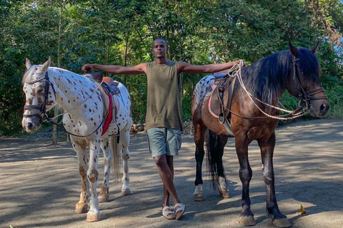 Arusha: Paseo a caballo y puesta de sol